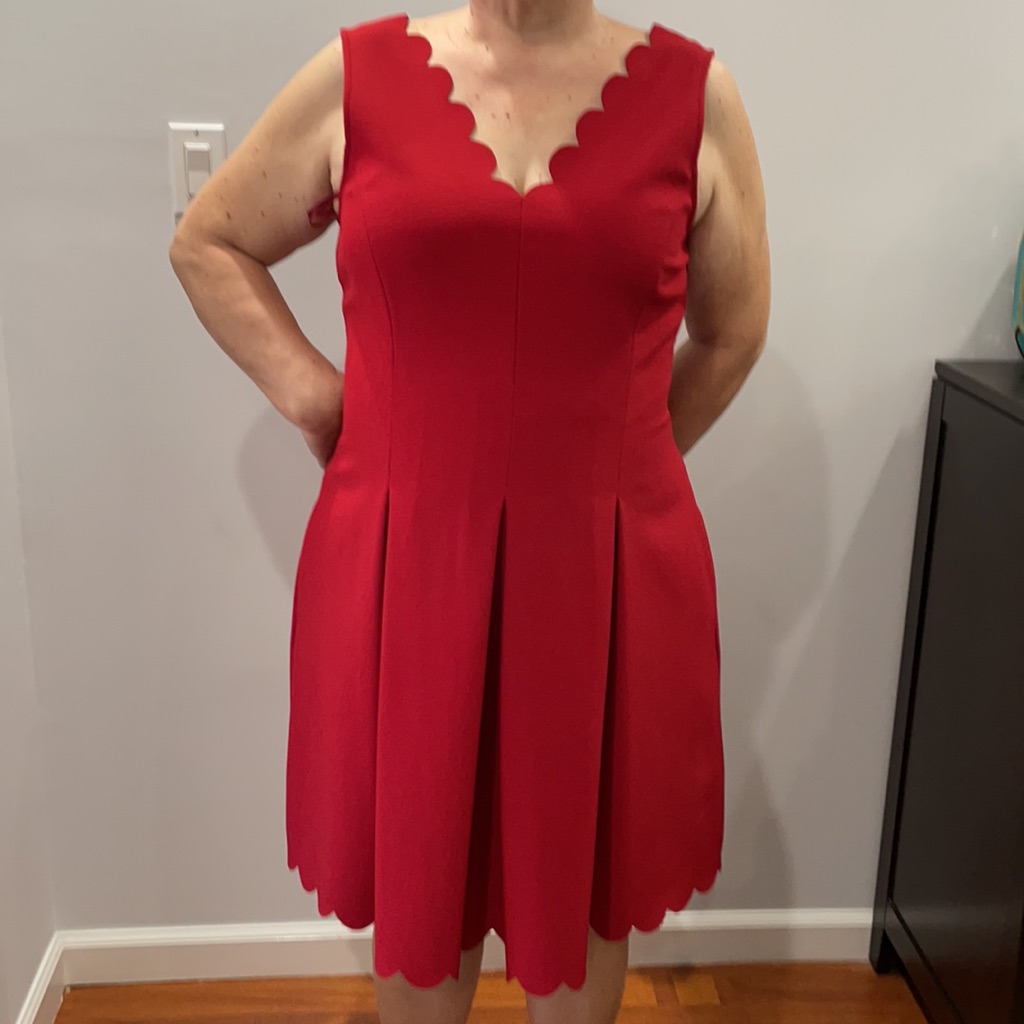 Brand New Banana Republic Dress